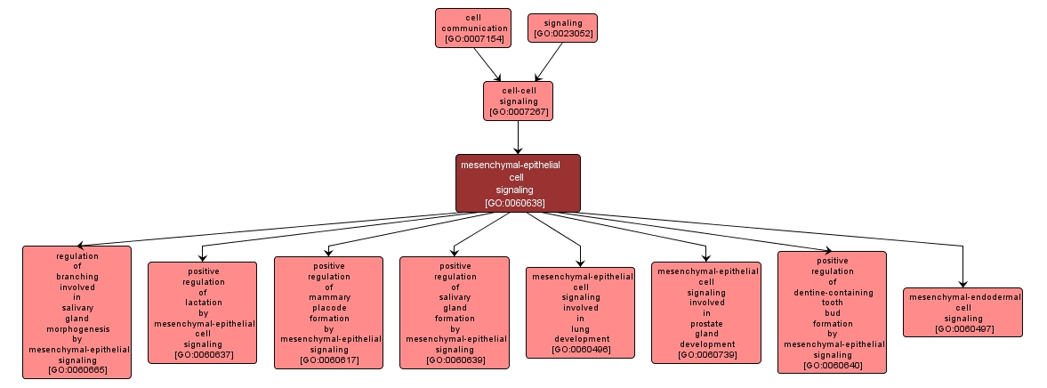 GO:0060638 - mesenchymal-epithelial cell signaling (interactive image map)