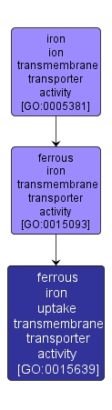 GO:0015639 - ferrous iron uptake transmembrane transporter activity (interactive image map)