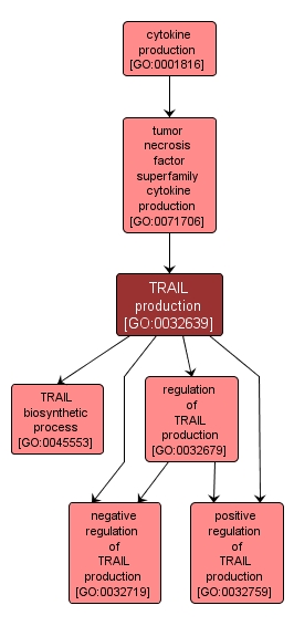 GO:0032639 - TRAIL production (interactive image map)