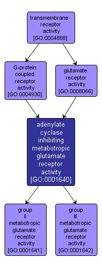GO:0001640 - adenylate cyclase inhibiting metabotropic glutamate receptor activity (interactive image map)