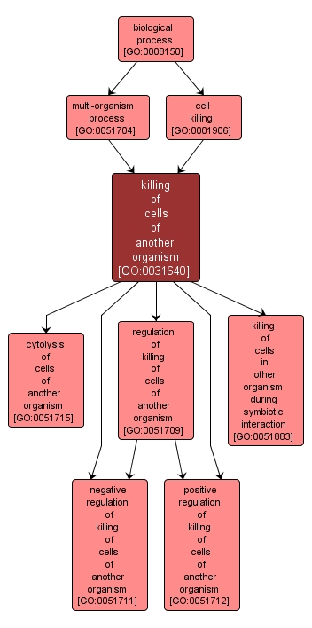 GO:0031640 - killing of cells of another organism (interactive image map)