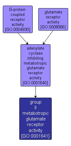 GO:0001641 - group II metabotropic glutamate receptor activity (interactive image map)