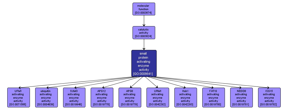 GO:0008641 - small protein activating enzyme activity (interactive image map)