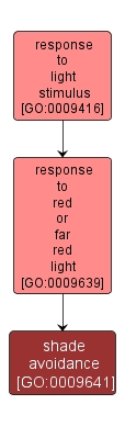 GO:0009641 - shade avoidance (interactive image map)