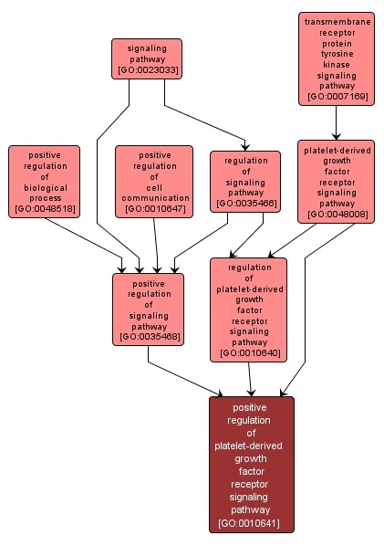 GO:0010641 - positive regulation of platelet-derived growth factor receptor signaling pathway (interactive image map)