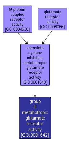 GO:0001642 - group III metabotropic glutamate receptor activity (interactive image map)