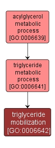 GO:0006642 - triglyceride mobilization (interactive image map)
