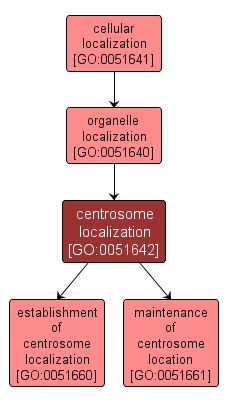 GO:0051642 - centrosome localization (interactive image map)