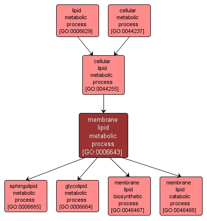 GO:0006643 - membrane lipid metabolic process (interactive image map)