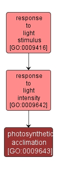 GO:0009643 - photosynthetic acclimation (interactive image map)