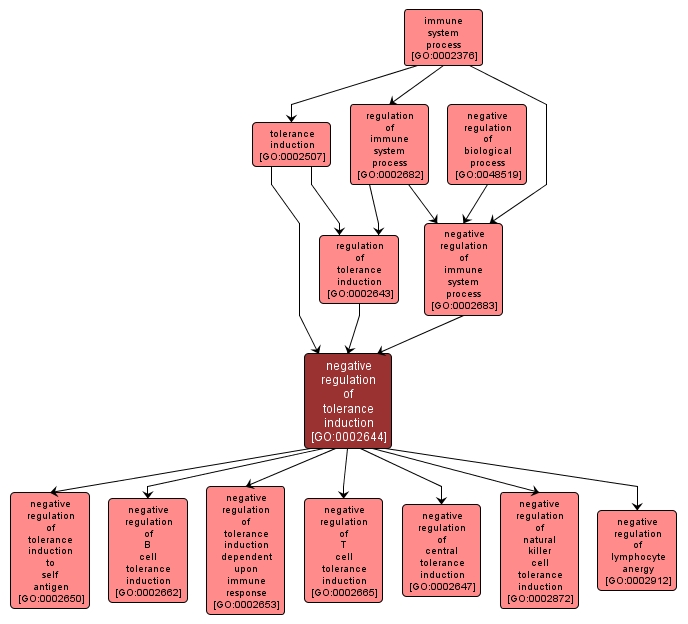 GO:0002644 - negative regulation of tolerance induction (interactive image map)