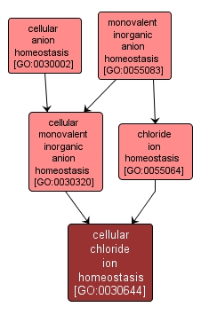 GO:0030644 - cellular chloride ion homeostasis (interactive image map)