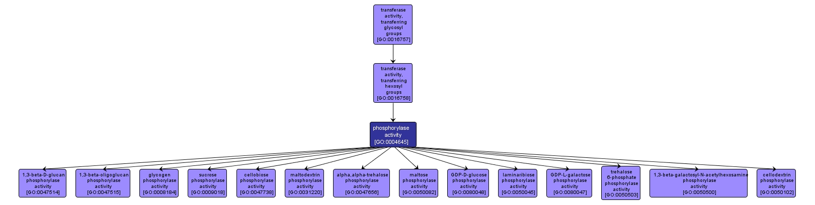 GO:0004645 - phosphorylase activity (interactive image map)