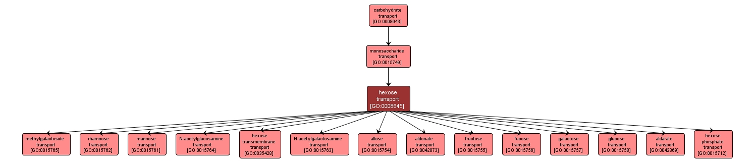 GO:0008645 - hexose transport (interactive image map)