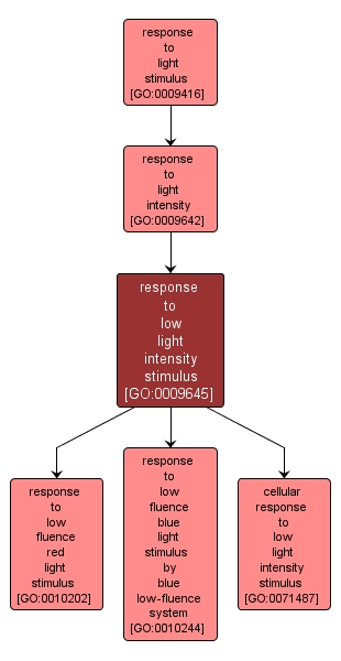 GO:0009645 - response to low light intensity stimulus (interactive image map)