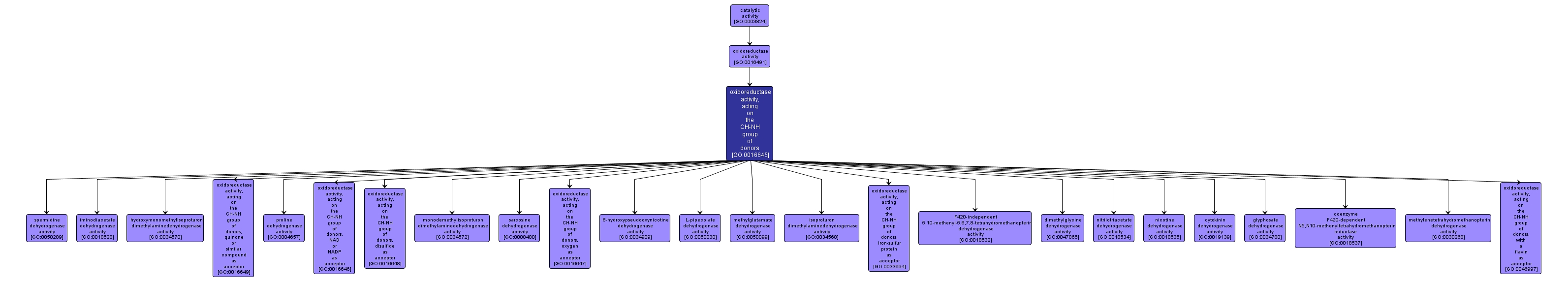 GO:0016645 - oxidoreductase activity, acting on the CH-NH group of donors (interactive image map)