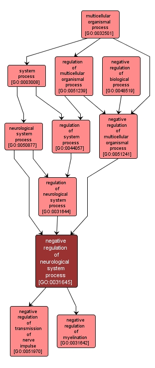 GO:0031645 - negative regulation of neurological system process (interactive image map)