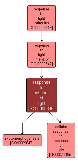 GO:0009646 - response to absence of light (interactive image map)