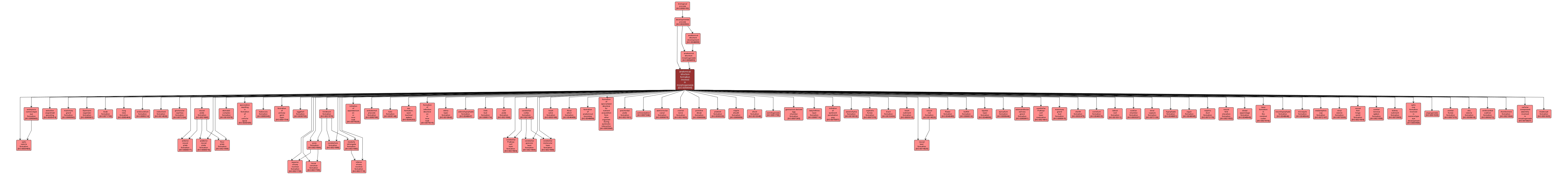 GO:0048646 - anatomical structure formation involved in morphogenesis (interactive image map)