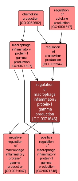 GO:0071646 - regulation of macrophage inflammatory protein-1 gamma production (interactive image map)