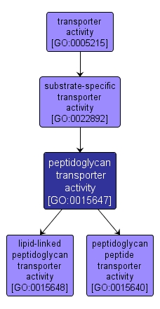 GO:0015647 - peptidoglycan transporter activity (interactive image map)