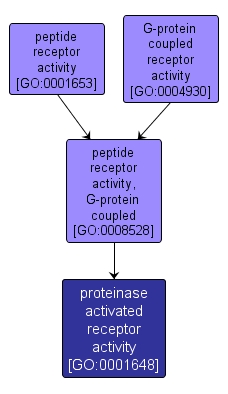 GO:0001648 - proteinase activated receptor activity (interactive image map)