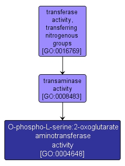 GO:0004648 - O-phospho-L-serine:2-oxoglutarate aminotransferase activity (interactive image map)