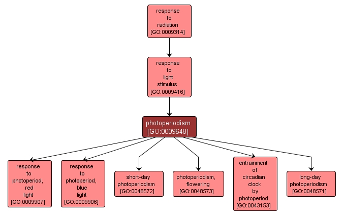 GO:0009648 - photoperiodism (interactive image map)