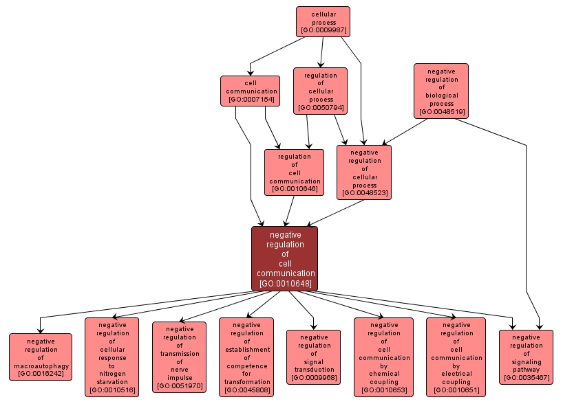 GO:0010648 - negative regulation of cell communication (interactive image map)