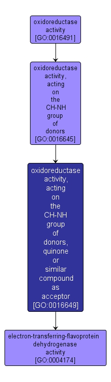 GO:0016649 - oxidoreductase activity, acting on the CH-NH group of donors, quinone or similar compound as acceptor (interactive image map)
