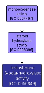 GO:0050649 - testosterone 6-beta-hydroxylase activity (interactive image map)