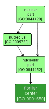 GO:0001650 - fibrillar center (interactive image map)