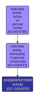 GO:0004650 - polygalacturonase activity (interactive image map)