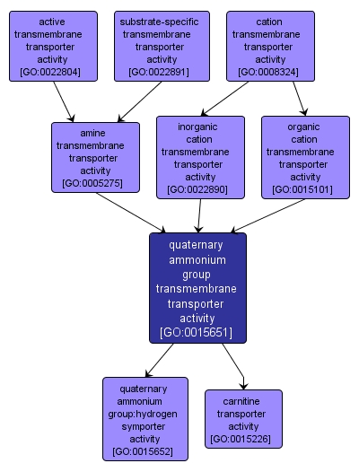 GO:0015651 - quaternary ammonium group transmembrane transporter activity (interactive image map)