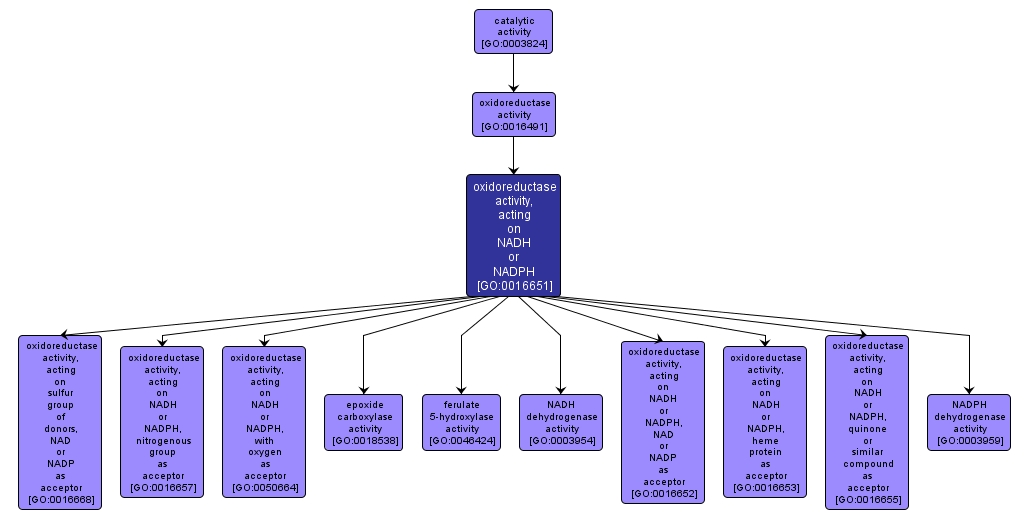 GO:0016651 - oxidoreductase activity, acting on NADH or NADPH (interactive image map)