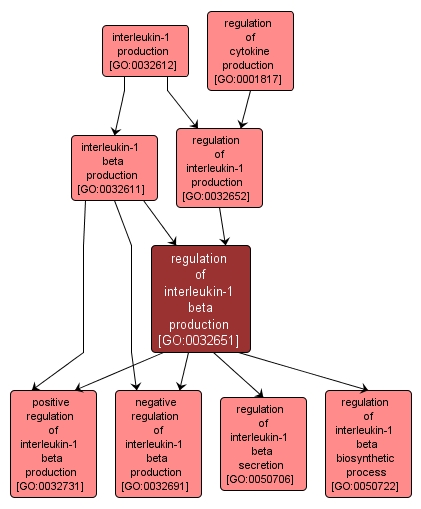 GO:0032651 - regulation of interleukin-1 beta production (interactive image map)