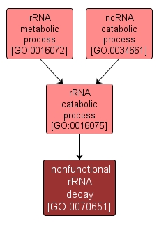 GO:0070651 - nonfunctional rRNA decay (interactive image map)