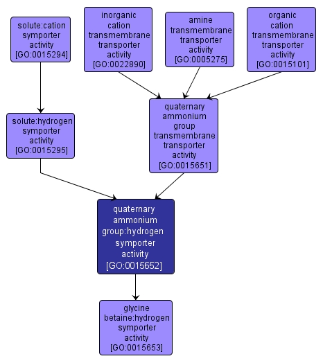 GO:0015652 - quaternary ammonium group:hydrogen symporter activity (interactive image map)