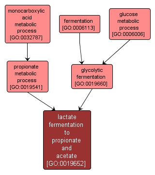 GO:0019652 - lactate fermentation to propionate and acetate (interactive image map)