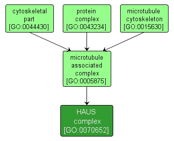 GO:0070652 - HAUS complex (interactive image map)