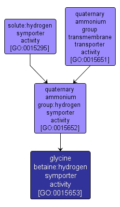 GO:0015653 - glycine betaine:hydrogen symporter activity (interactive image map)