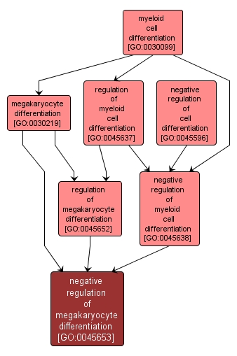 GO:0045653 - negative regulation of megakaryocyte differentiation (interactive image map)