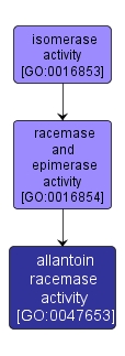 GO:0047653 - allantoin racemase activity (interactive image map)