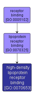 GO:0070653 - high-density lipoprotein receptor binding (interactive image map)