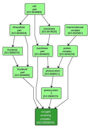 GO:0009654 - oxygen evolving complex (interactive image map)