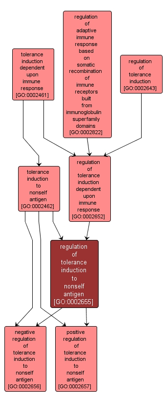 GO:0002655 - regulation of tolerance induction to nonself antigen (interactive image map)