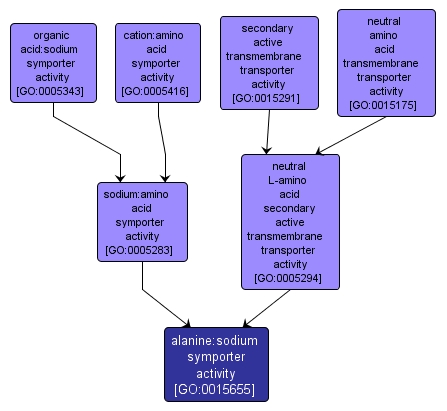 GO:0015655 - alanine:sodium symporter activity (interactive image map)