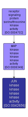 GO:0042656 - JUN kinase kinase kinase kinase activity (interactive image map)