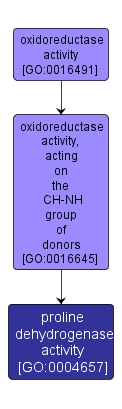 GO:0004657 - proline dehydrogenase activity (interactive image map)