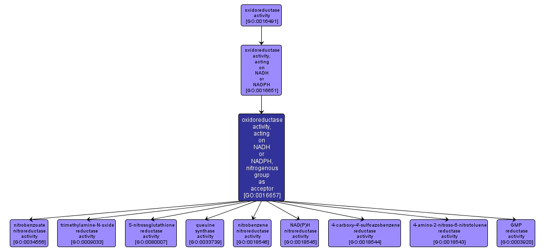 GO:0016657 - oxidoreductase activity, acting on NADH or NADPH, nitrogenous group as acceptor (interactive image map)